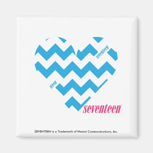 ZigZag Aqua 4 Magneet (Voorkant)