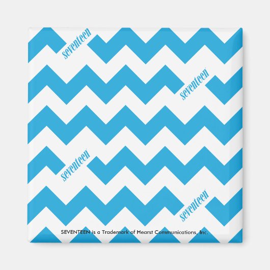 ZigZag Aqua Magneet (Voorkant)