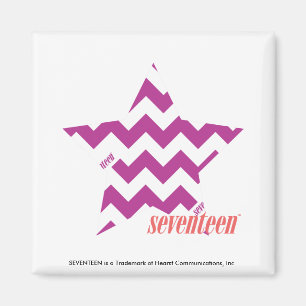 ZigZag Paars 4 Magneet