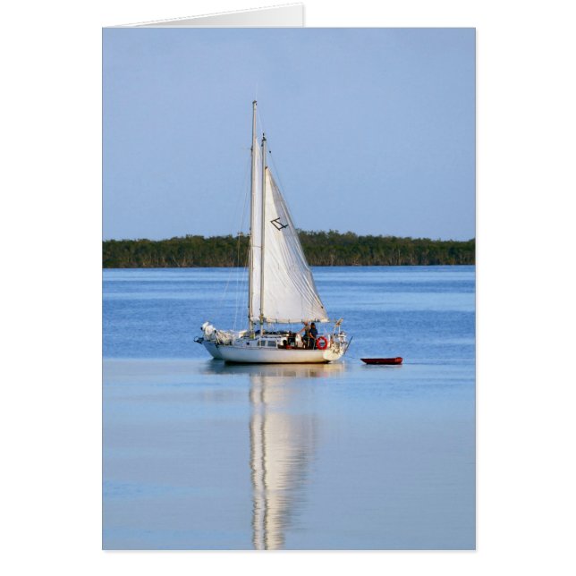 Zij aan zij (Voorkant)