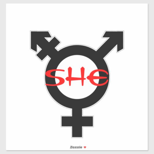Zij Transgender Sticker (Vel)