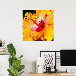 Zijaanzicht oranje hibiscusbloem poster