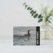 Zijband - aalscholver leren naar schemering visitekaartje (Staand voorkant)