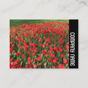 Zijband - Bed van rode tulpen 02 Visitekaartje