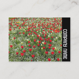 Zijband - Bed van Tulpen Visitekaartje