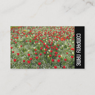 Zijband - Bed van Tulpen Visitekaartje