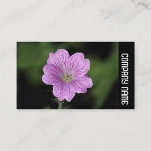Zijband - Geranium Endressii Visitekaartje