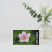Zijband - Geranium Visitekaartje (Staand voorkant)