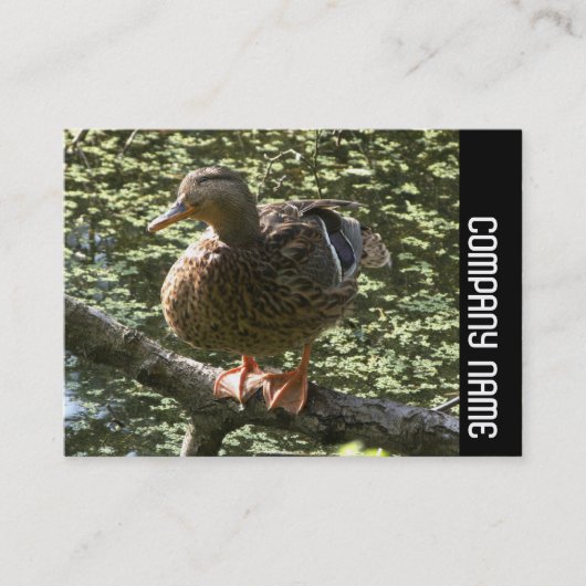 Zijband - Happy Duck Visitekaartje (Voorkant)