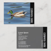 Zijband - Mallard Duck Visitekaartje (Voorkant / Achterkant)
