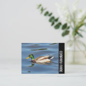 Zijband - Mallard Duck Visitekaartje (Staand voorkant)