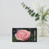 Zijband - Roze Camellia Visitekaartje (Staand voorkant)