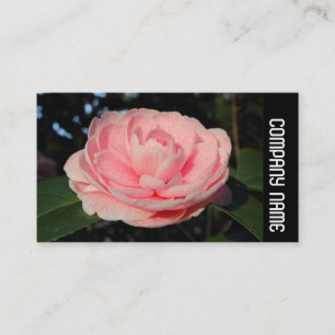 Zijband - Roze Camellia Visitekaartje