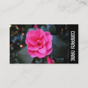 Zijband - Roze Camellia Visitekaartje