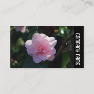 Zijband - Roze Camellia Visitekaartje