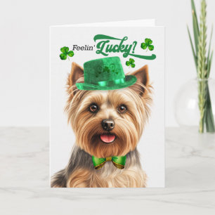Zijdeachtige Terriër Felt Lucky St Patrick's Day Feestdagen Kaart