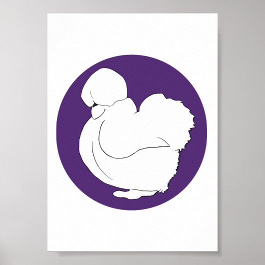 Zijdehoen Poster (Voorkant)