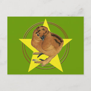 Zijdehoen Rood Kuiken Ster Briefkaart