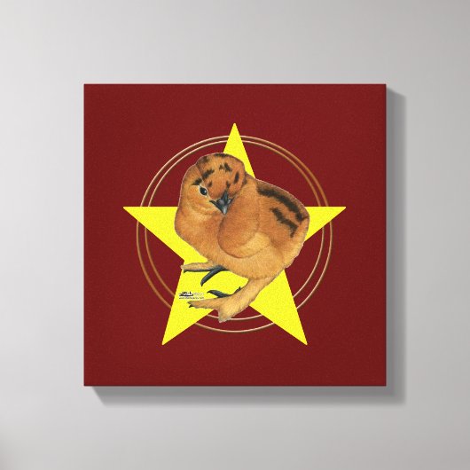 Zijdehoen Rood Kuiken Ster Canvas Afdruk (Voorkant)