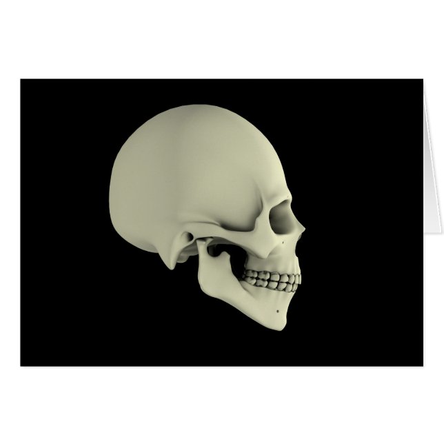 Zijdelings Uitzicht van de menselijke schedel (Voorkant Horizontaal)