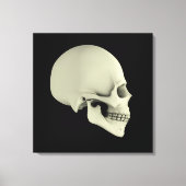Zijdelings Uitzicht van de menselijke schedel Canvas Afdruk (Voorkant)