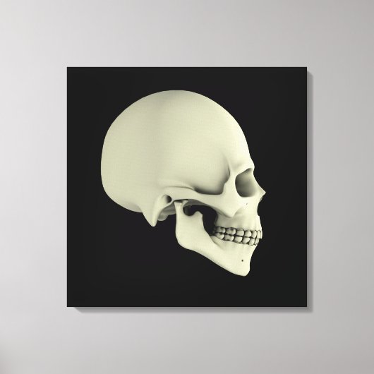 Zijdelings Uitzicht van de menselijke schedel Canvas Afdruk (Voorkant)