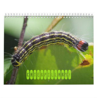 Zijdelingse pijlers! Agenda Kalender