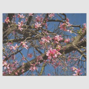 Zijderbloemig Blossom Papier