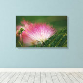 Zijderoze Mimosa Canvas Afdruk (Insitu (Houten vloer))