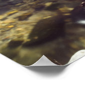 Zijdewater 1 Poster (Hoek)