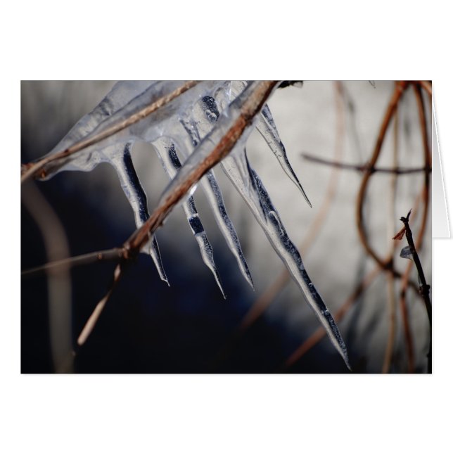 Zijn bijtende aanraking (Voorkant Horizontaal)