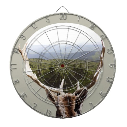 Zijn domein dartbord (Voorkant)