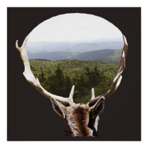 Zijn domein perfect poster