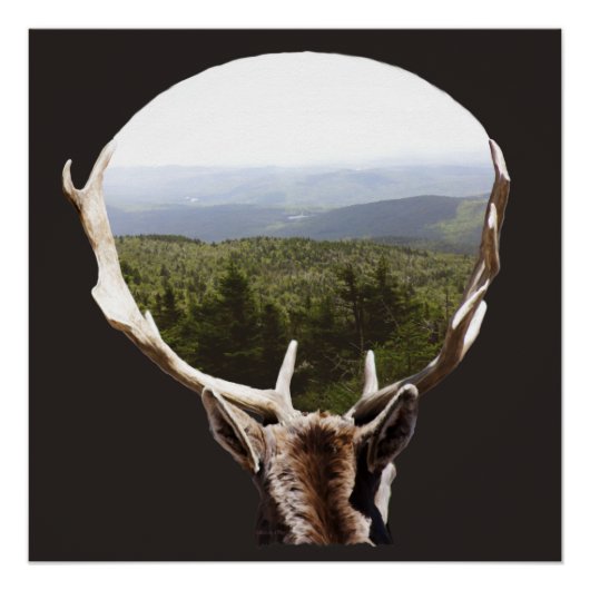 Zijn domein perfect poster (Voorkant)