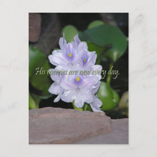 Zijn genootschappen briefkaart (Voorkant)