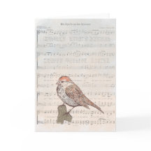 Zijn oog is op de mus kaart