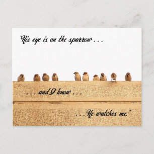 Zijn oog staat op de loer. . . briefkaart