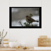 "Zijn oog staat op de loer! poster (Keuken)