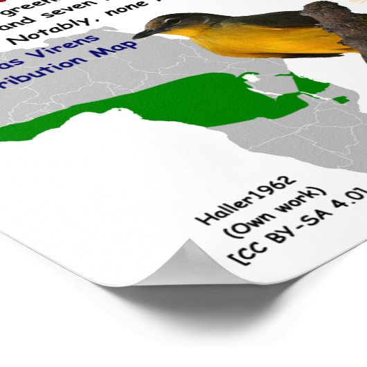 Zika's Reservoir & Amplifying Host door RoseWrites Poster (Hoek)