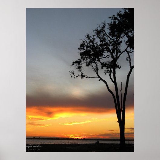 zilver en goud poster (Voorkant)