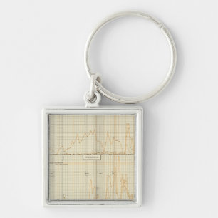 Zilver, goud, kleine munten sleutelhanger