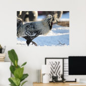 Zilver Laced Pools Crested Poster (Thuiskantoor)