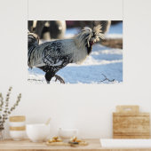 Zilver Laced Pools Crested Poster (Keuken)