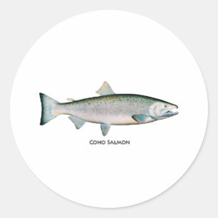 Zilver Salmon (oceaanfase) Ronde Sticker