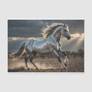 Zilver Storm Wild Horse Decoupage papier