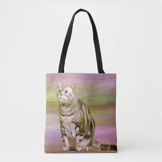 Zilver Tabby Kat Draagtas (Voorkant)