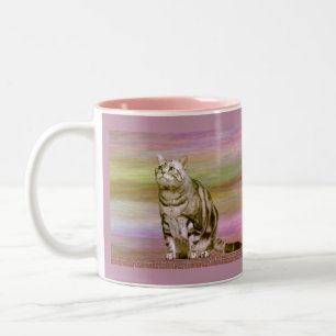 Zilver Tabby Tweekleurige Koffiemok
