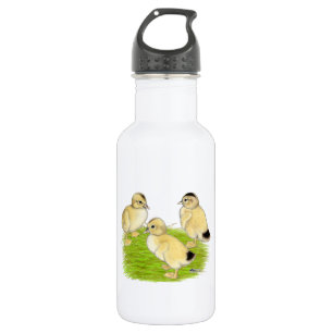 Zilveren Appleyard-eendjes Waterfles