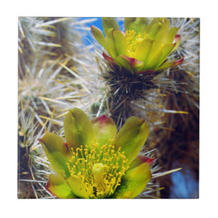 Zilveren Cholla Cactus Wilde Bloemen Tegeltje