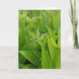 Zilveren Dragonfly Notecards (Blank Inside) Kaart